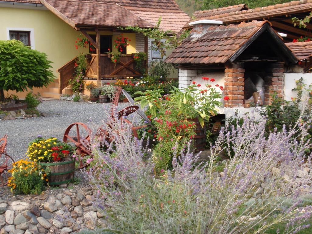 Country House Stara Kapela Nova Kapela Esterno foto